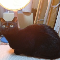 「ストーブの側が良いな～」サムネイル2