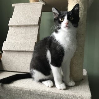 ぼくさみしいよ、ぼくのママにあいたいよ♡