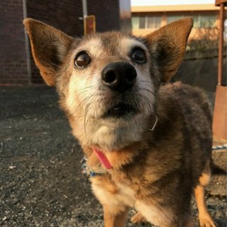 新しい家族が決まりました！！