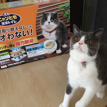 似てるにゃ