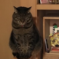 アール