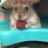  さん