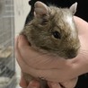 つー12345 さん