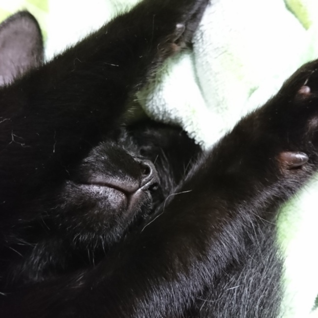 まさか（＾＾）のカバー写真