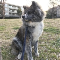六郎