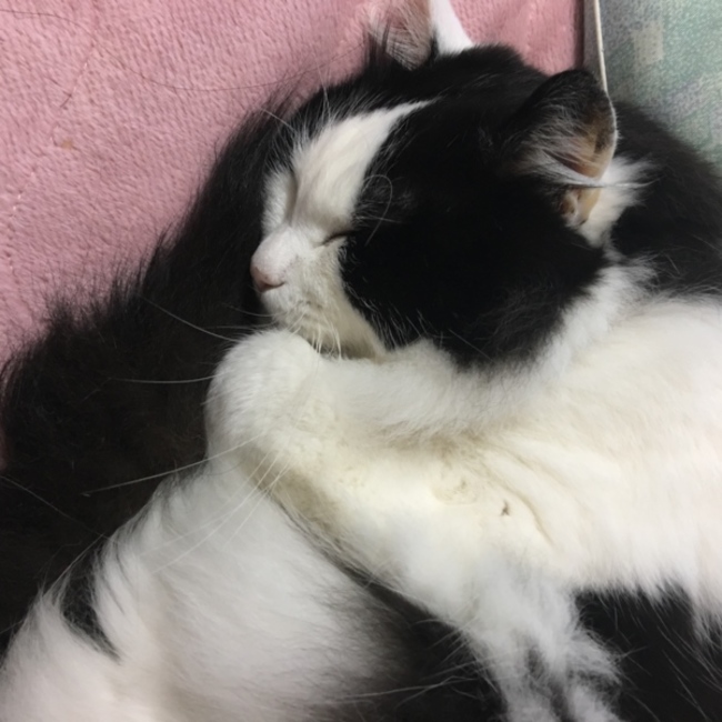 ソラさおりのカバー写真