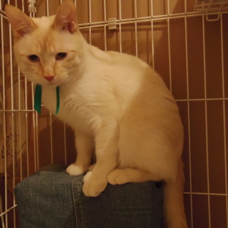 遺棄されても人が好きな穏やか男子