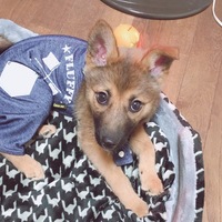 がん