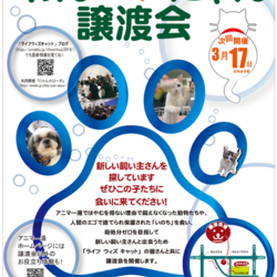 アニマー湯犬猫譲渡会 サムネイル3