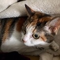 おばあちゃん亡くなりひとりぼっちでアパートにいます