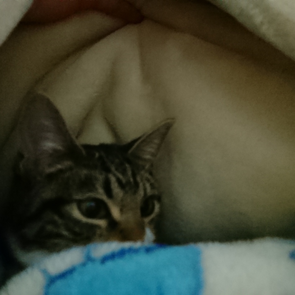 うみのカバー写真