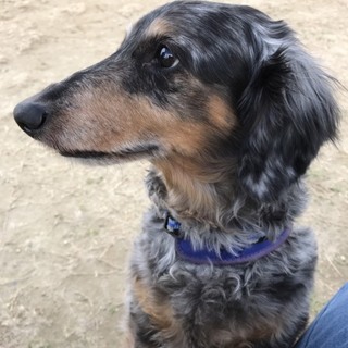 s様、ありがとうございます。