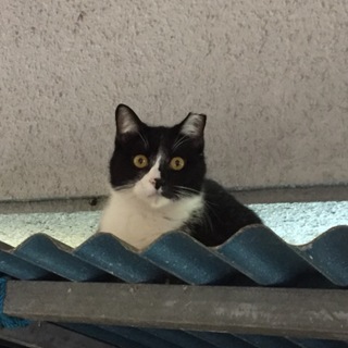 家族になって下さい！