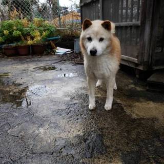 三重県より代理で募集です。