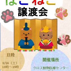 動物病院でのほごねこ譲渡会【動画有】 サムネイル1