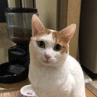 ミル