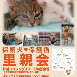 川越ハウジング犬猫里親会