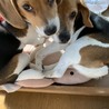おねぇちゃん、どっか行くの？