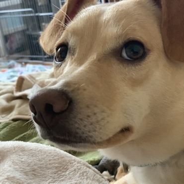 今日は兄ちゃん、車の卒検！頑張れよ！