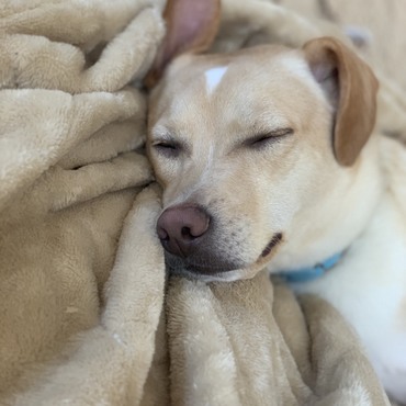ぼくは車酔うからな！寝てるわ！