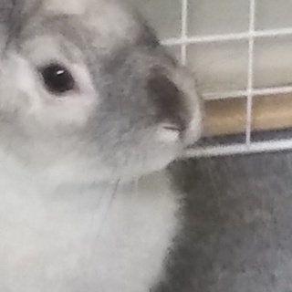 ありがとうございました。