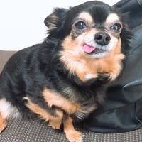 リン