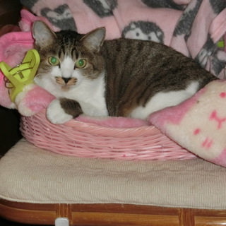 幸せにしてあげたいです。