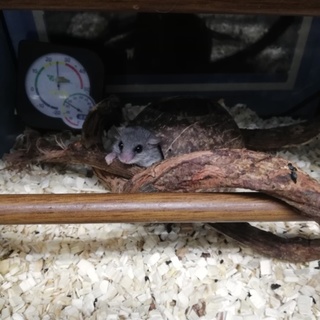 よろしくお願いします。