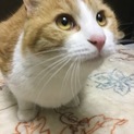 ありがとうございます