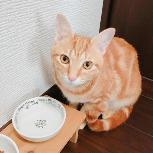 テト