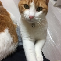 みーくん