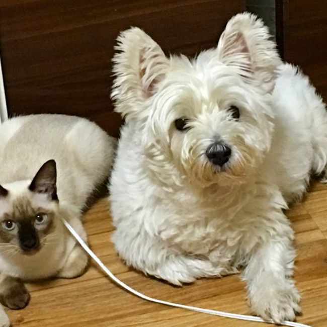 のぉとむのカバー写真