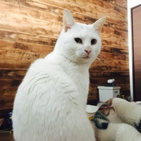 其田 ユキ