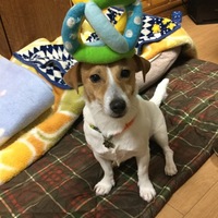 Hughmargaret 