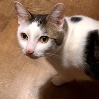 まりも