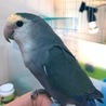 2019/3/6 元気すぎて困ってます！