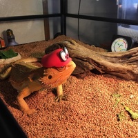 ビル
