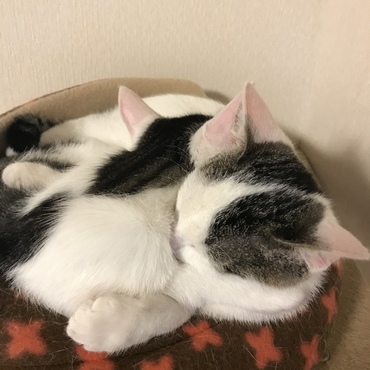 ❤️
