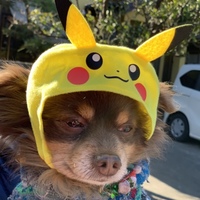 レオ