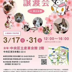 ねこざんまい譲渡会@東日本橋