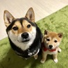  さん