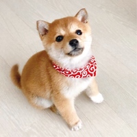 つくね