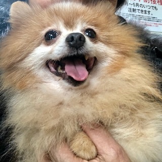 正式譲渡になりました