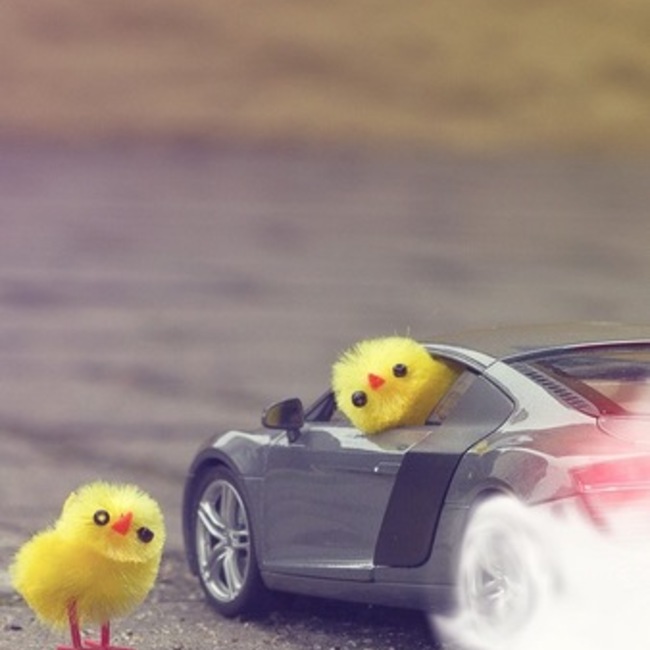 とかレモンのカバー写真