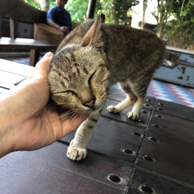 narimi03のカバー写真