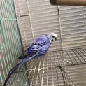 まとめて引き取ってくださると有難いです(1