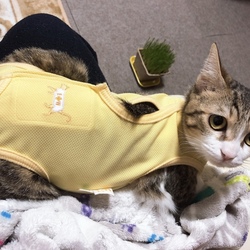 頑張りました