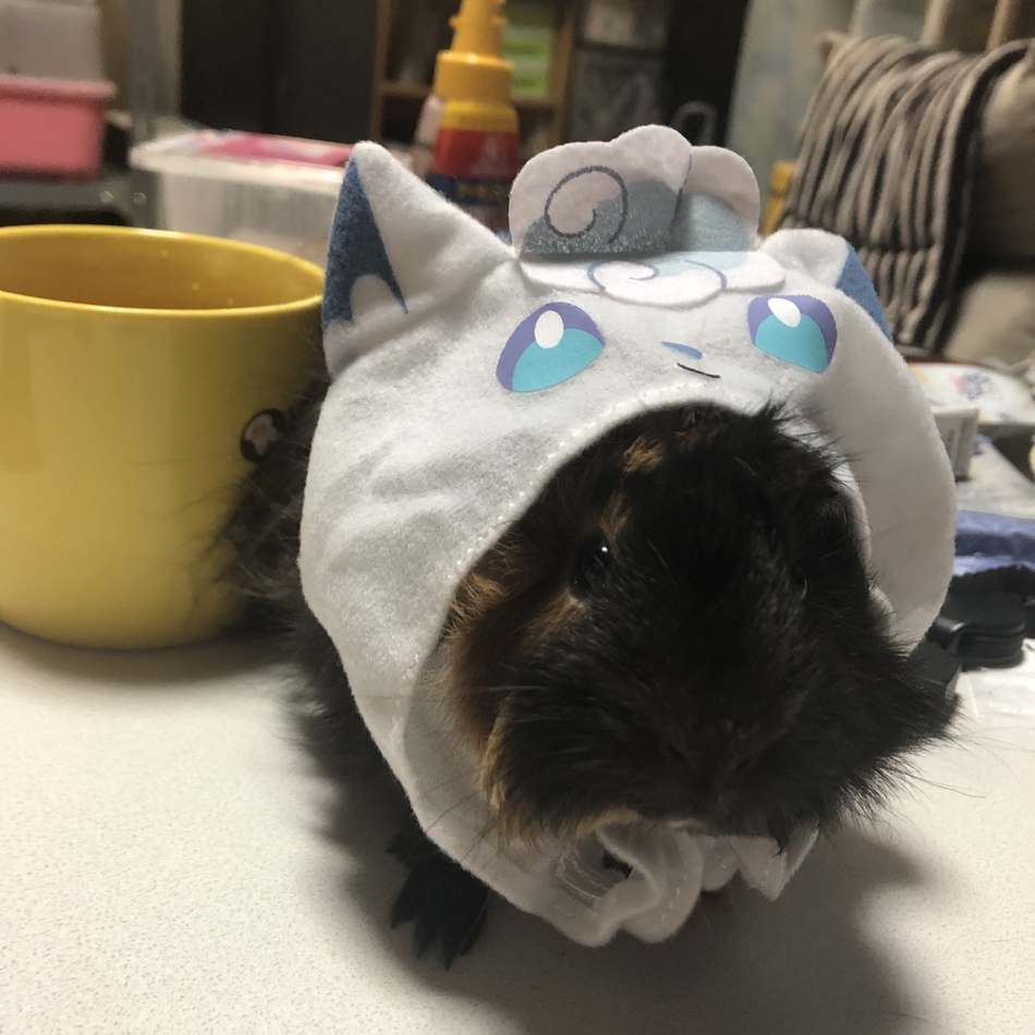 しょこらのカバー写真