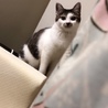 うめゆう