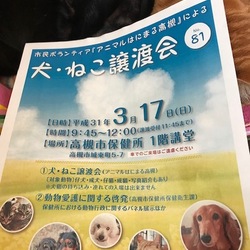 アニマルはにまる高槻による犬・猫譲渡会